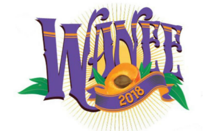 Wanee 2018 Music Festival Preview